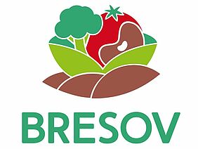 BRESOV Logo