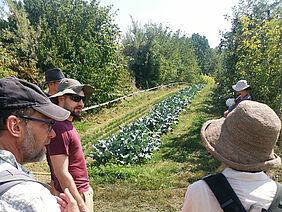 Plusieurs personnes devant un champ de légumes