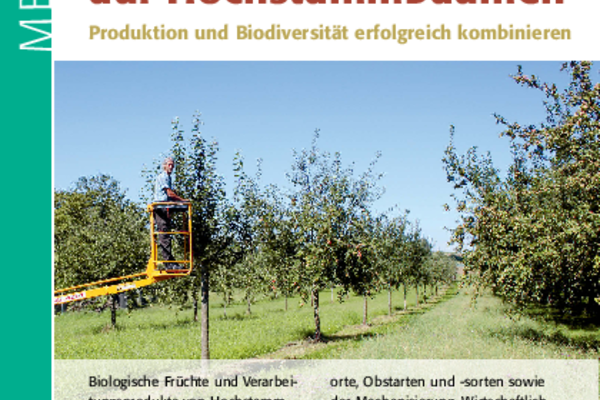 Cover Merkblatt Hochstammbäume