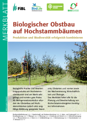 Cover Merkblatt Hochstammbäume