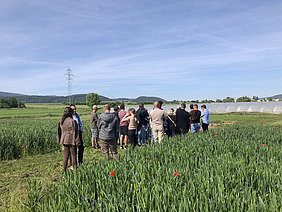 Gruppe von Menschen auf dem Feld des DOK-Versuchs.