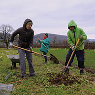 Zwei Menschen stehen auf einer winterlichen, grünen Wiese. Sie tragen wetterfeste Kleidung und halten Spaten in der Hand, mit denen sie ein Loch im Boden buddeln. Im Hintergrund hält eine Person einen ca. 2m hohen jungen Baum in der Hand.