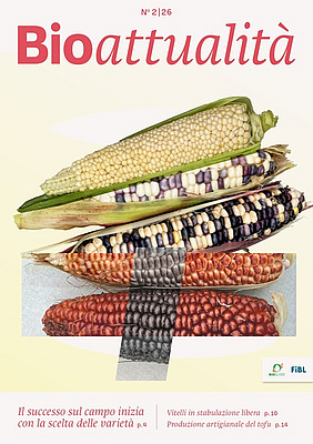 Cover Bioattualità 2/26.