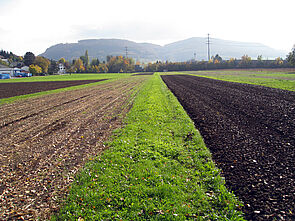 Bodenbearbeitungsversuch: Im Herbst nach Mais vor Winterweizen.  Links: reduziert, rechts gepflügt.