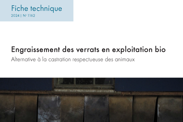 Cover: Engraissement des verrats en exploitation bio