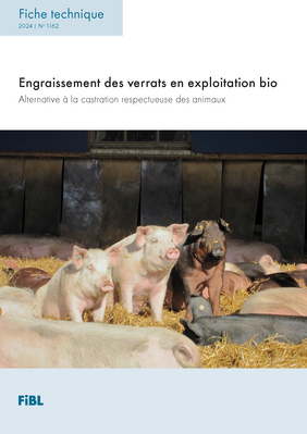 Cover: Engraissement des verrats en exploitation bio