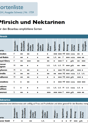 Sortenliste Pfirsich und Nektarinen