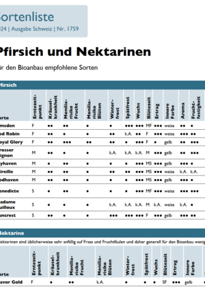 Pfirsich und Nektarinen