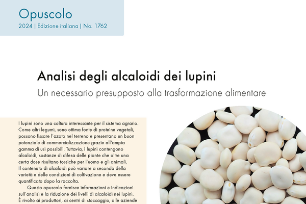 Cover: Analisi degli alcaloidi dei lupini