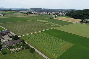 Feldversuche von oben