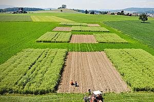 Demonstrationsparzellen auf einem Acker. 