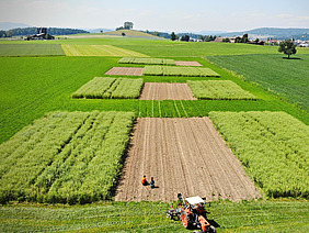 Demonstrationsparzellen auf einem Acker. 