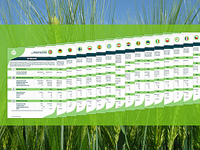 Series of fact sheets, with a wheat field in the background.