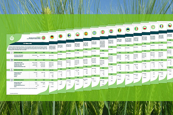 Series of fact sheets, with a wheat field in the background.