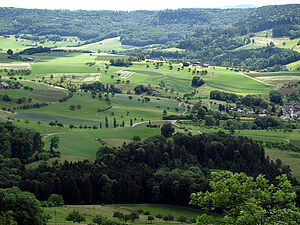 strukturierte Landschaft mit Grünland und Ackerbau