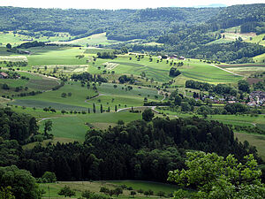 strukturierte Landschaft mit Grünland und Ackerbau