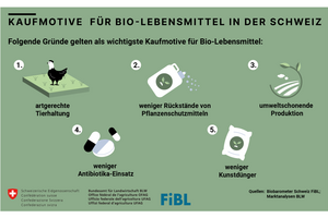 Grafik: Kaufmotive für Bio-Lebensmittel