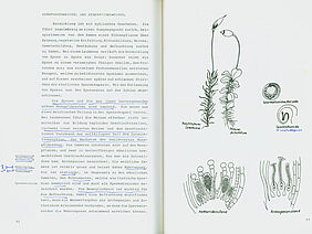 Notes de cours de Philippe Matile.