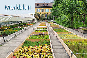 Titelfoto: Erfolgreich auf dem Weg zur Biogärtnerei.