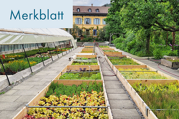 Titelfoto: Erfolgreich auf dem Weg zur Biogärtnerei.