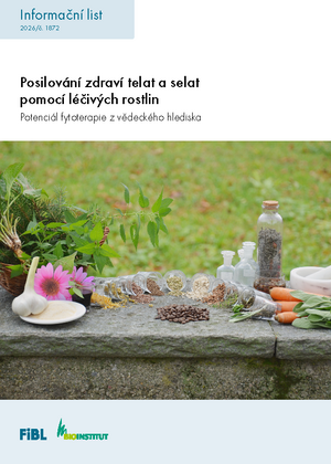 Posilování zdraví telat a selat pomocí léčivých rostlin