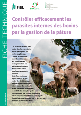 Fiche technique: Contrôler efficacement les parasites internes des bovins par la gestion de la pâture