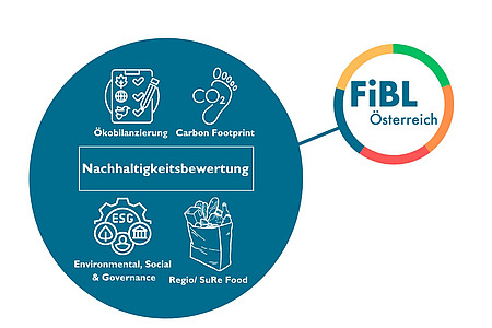 Grafik Nachhaltigkeitsbewertung