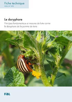 Cover: Fiche technique.