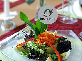 Angerichteter Biosalat