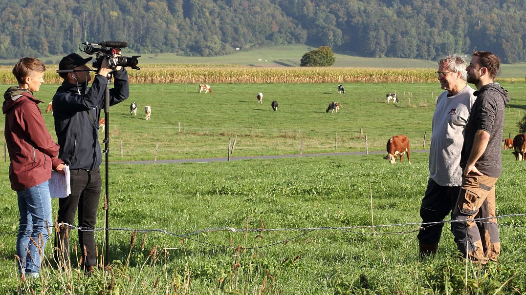 Deux personnes filment deux autres personnes dans un pâturage avec des vaches