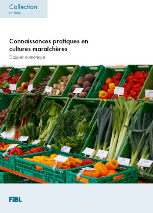 Connaissances pratiques en cultures maraîchères