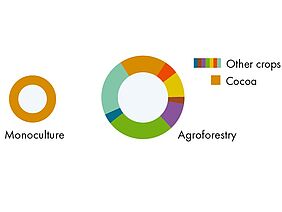 Two pie charts show in bright colours that diversified cultivation systems produce higher yields than monoculture.