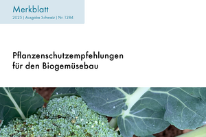 Cover Merkblatt