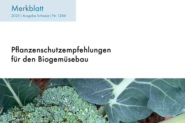 Cover Merkblatt