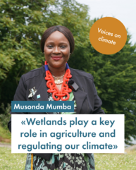 Eine dunkelhäutige Frau lächelt sehr freundlich und selbstbewusst in die Kamera. Sie trägt auffälligen Schmuck und ist aufwändig gestylt. In orange steht "Voices on climate" und in blau "Musonda Mumba: Wetlands play a key role in agriculture and regulating our climate"