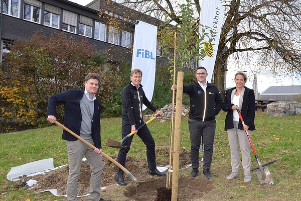 Drei Männer und eine Frau mit Spaten in der Hand stehen um einen frisch gepflanzten Baum