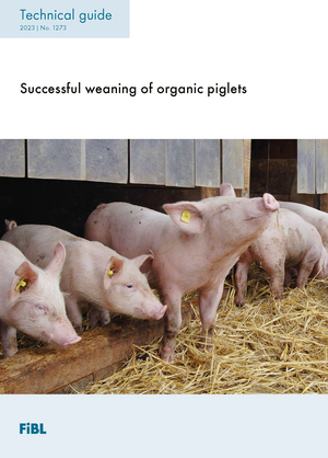 Successful weaning of organic piglets