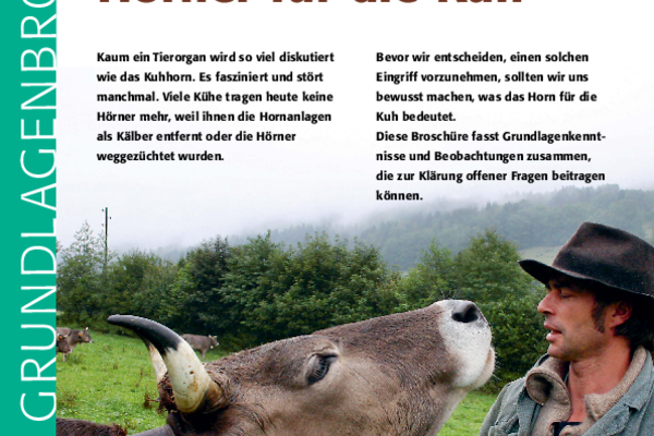 Cover Merkblatt "Die Bedeutung der Hörner für die Kuh"