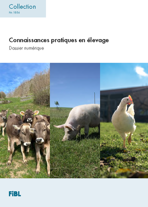 Connaissances pratiques en élevage