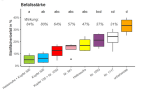 Grafik zur Befallsstärke