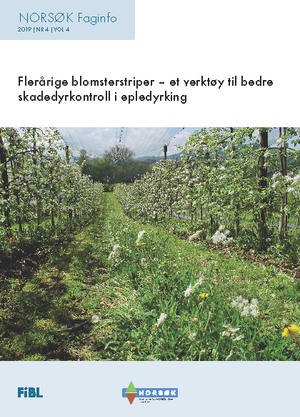 Flerårige blomsterstriper - et verktøy til bedre skadedyrkontroll i epledyrking