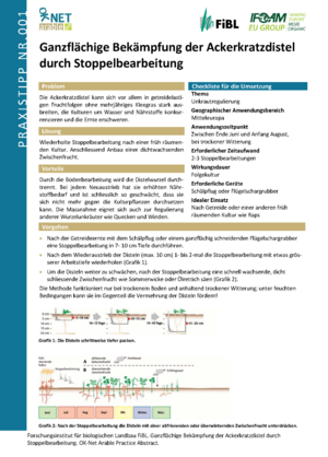 Ganzflächige Bekämpfung der Ackerkratzdistel durch Stoppelbearbeitung