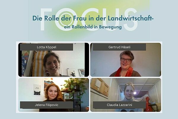 Die vier Gäste im Videcall