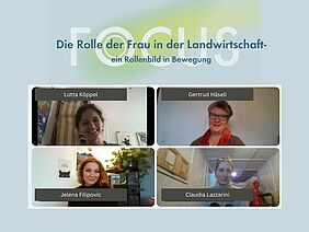 Die vier Gäste im Videcall