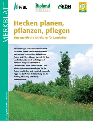 Hecken planen, pflanzen, pflegen