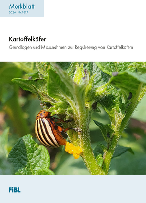 Kartoffelkäfer