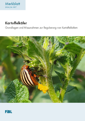 Merkblatt: Kartoffelkäfer.