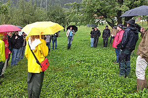 Eine Gruppe von Menschen steht in Regenkleidern in einer Hochstammobstanlage.