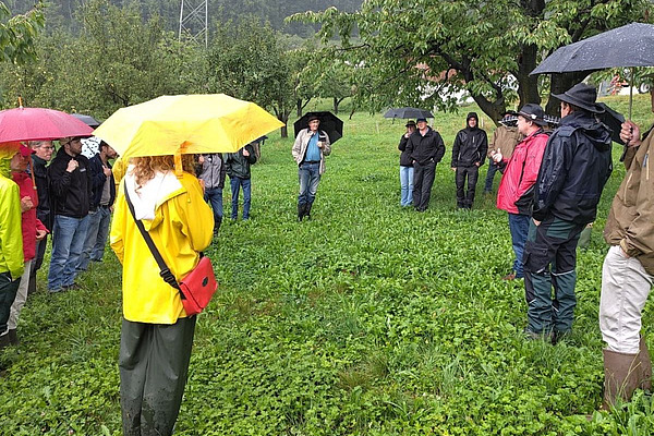 Eine Gruppe von Menschen steht in Regenkleidern in einer Hochstammobstanlage.