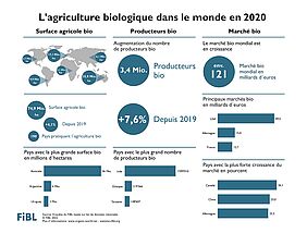 Infographique de l'agriculture biologique dans le monde en 2020